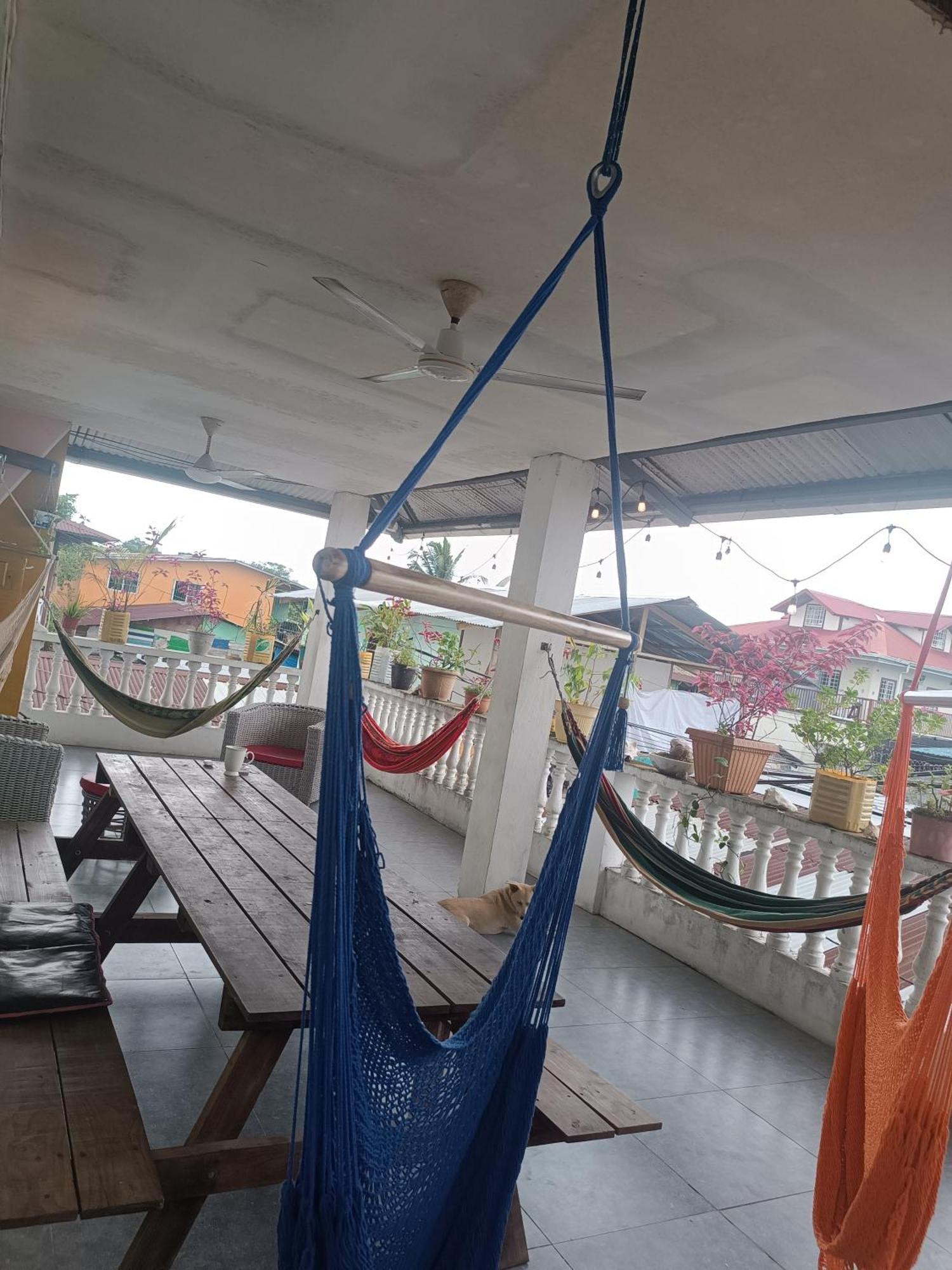 Cataleya Hostel Bocas del Toro Exterior photo